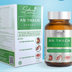 AnThach Web 1 e1737661476353